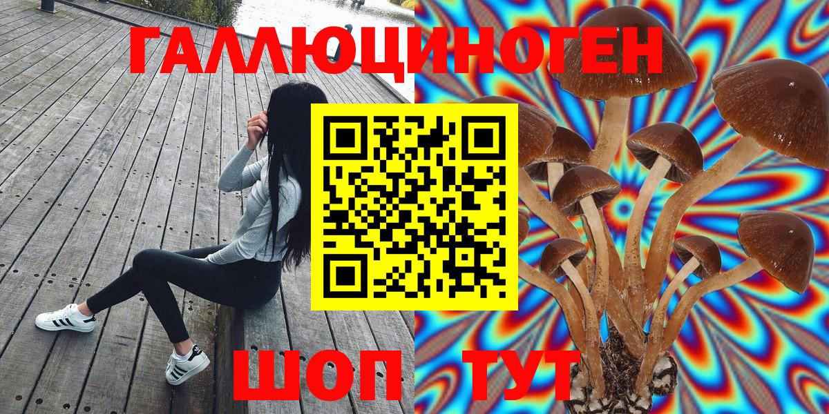Галлюциногенные грибы мухоморы Тара